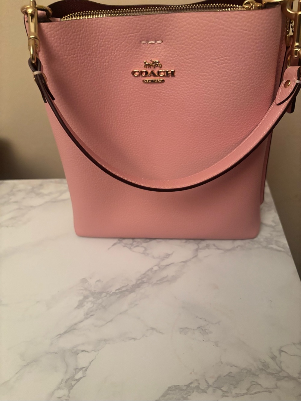 Coach Pink  Leather Bucket Bag with Gold Accents
